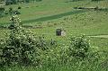 2010-06- (146)
